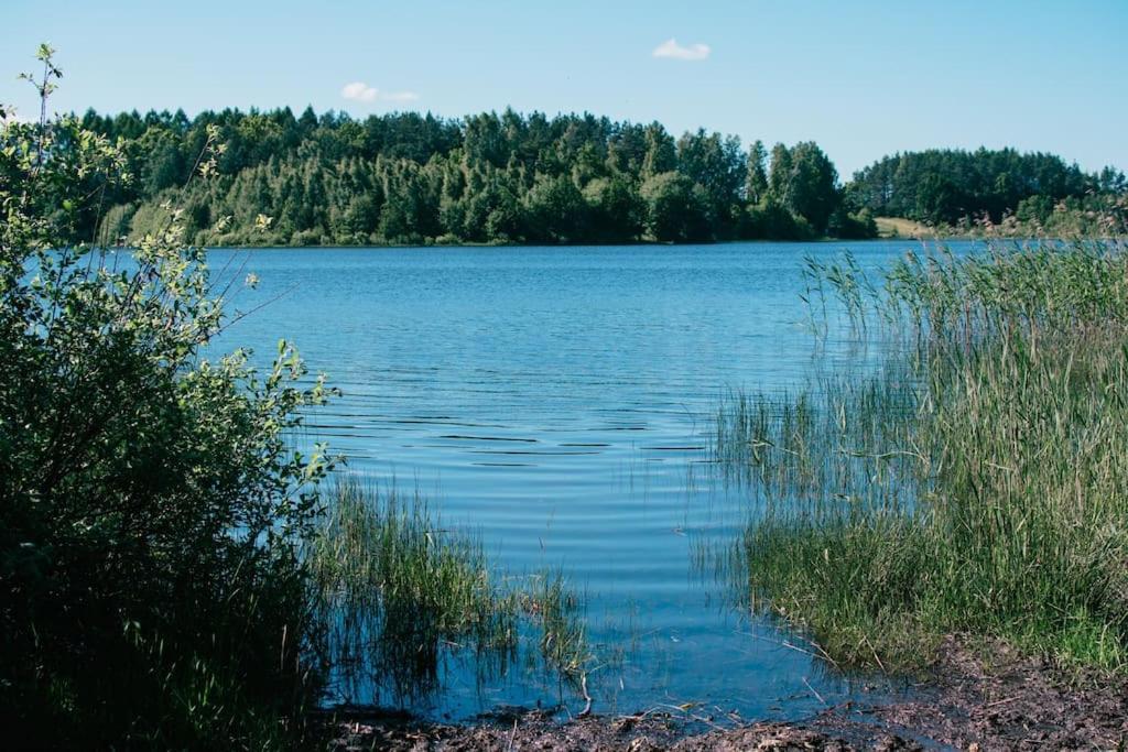 Trojmiasto Nad Jeziorem Dom -Echochata Kamień Buitenkant foto
