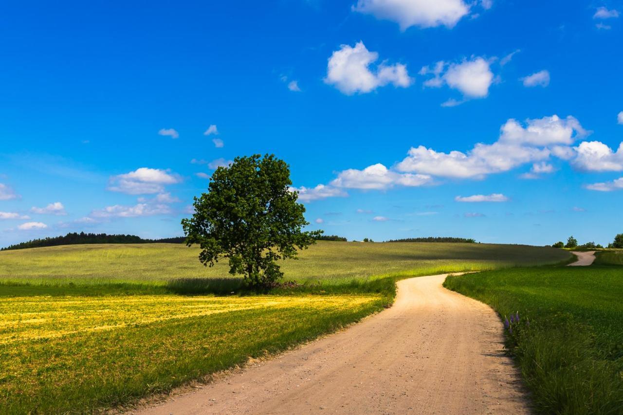 Trojmiasto Nad Jeziorem Dom -Echochata Kamień Buitenkant foto