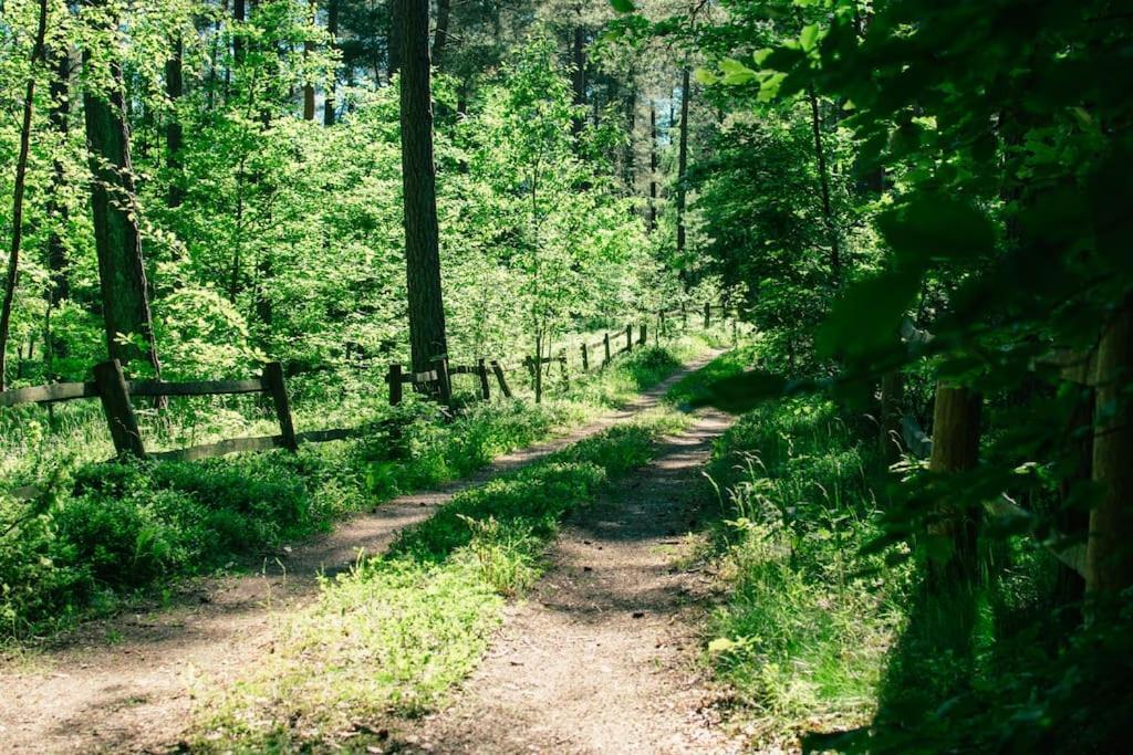 Trojmiasto Nad Jeziorem Dom -Echochata Kamień Buitenkant foto